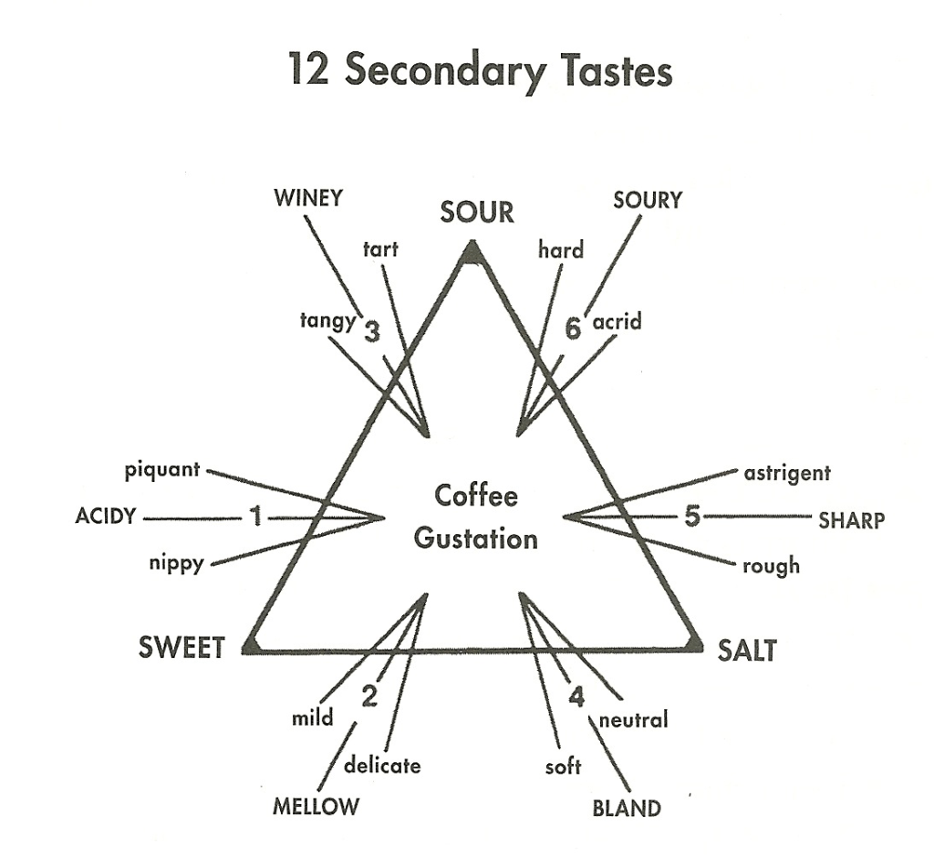 The six primary coffee tastes can be categorized into 12 secondary tastes