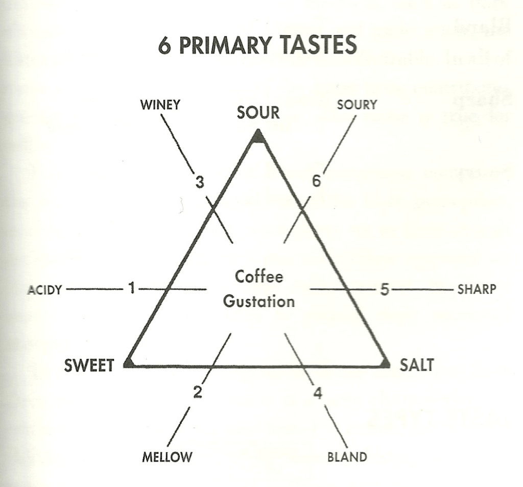 6-Primary-Tastes